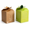 Botanical Petal-Top Tea Collapsible Gift Box